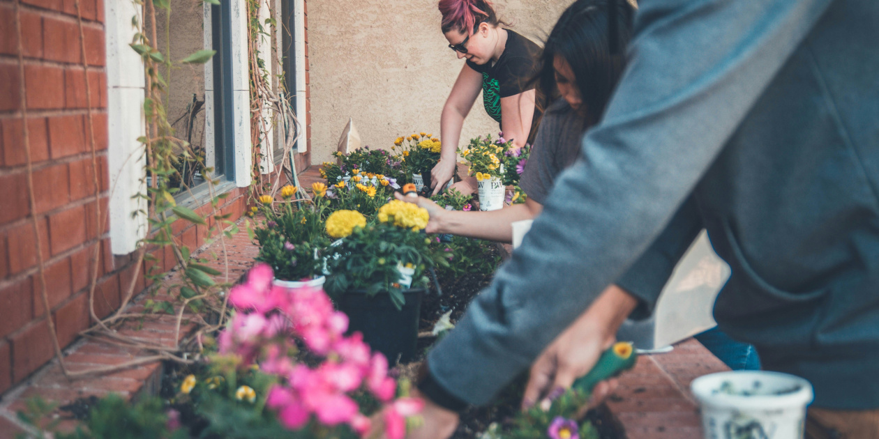 © Unsplash Volunteers gardening